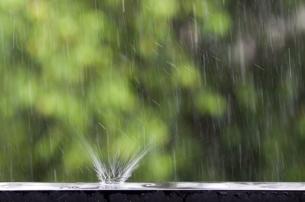 Récupérateur d'eau de pluie : des solutions innovantes à découvrir